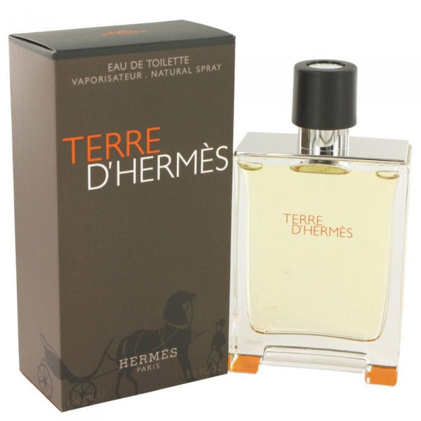 Hermes Terre D'Hermes EDT 100ml for Men